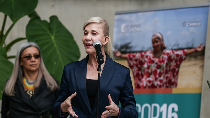 Así es la estrategia de seguridad en el Valle del Cauca para la COP16: gobernadora explica