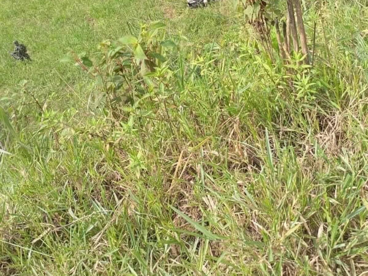 Vehículo cayó a un abismo en Santa Rosa del sur: hay una fallecida y cinco heridos