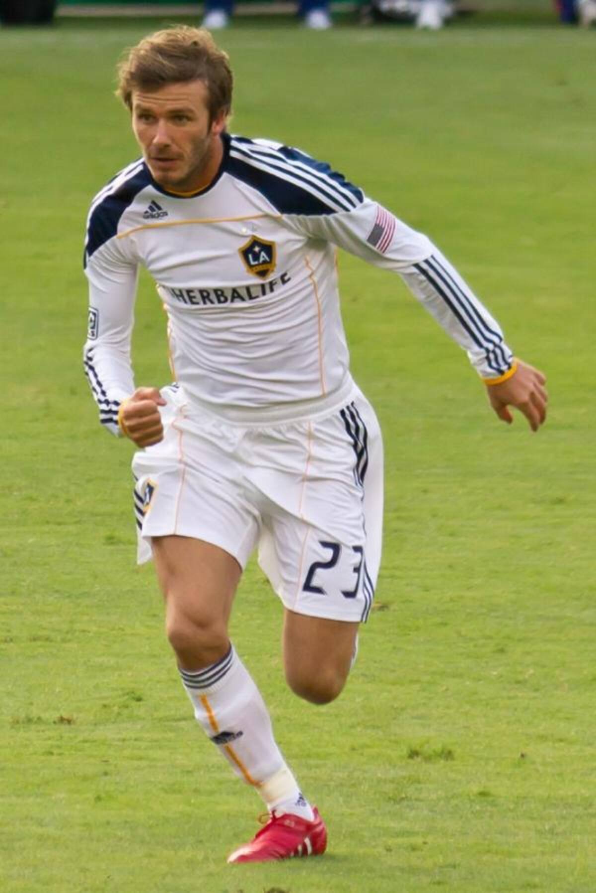 David Beckham