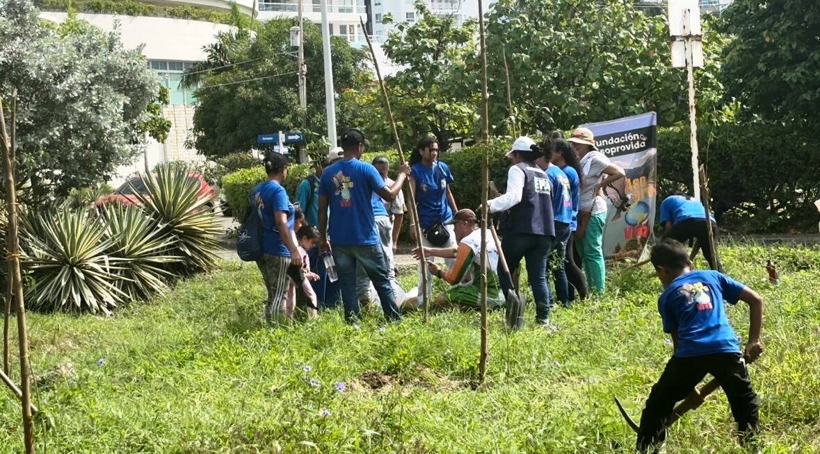Con 100 árboles, inicia siembra masiva en el barrio Crespo en el norte de Cartagena