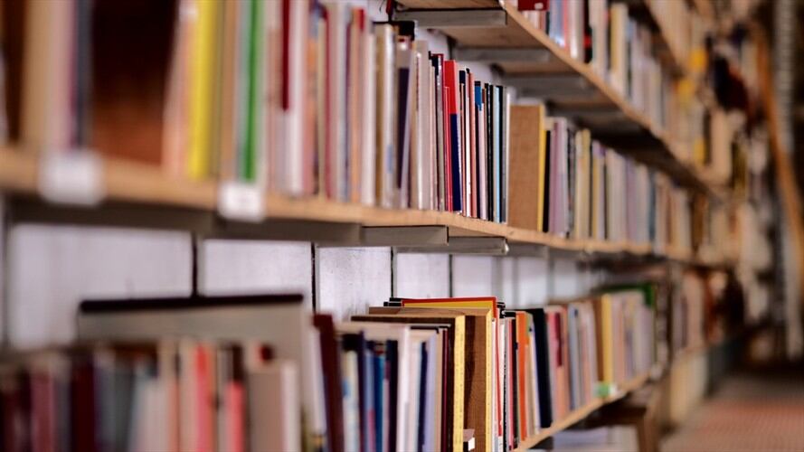 Fueron incautados 5.451 libros ‘piratas’ de diferentes editoriales. Foto: Getty Images
