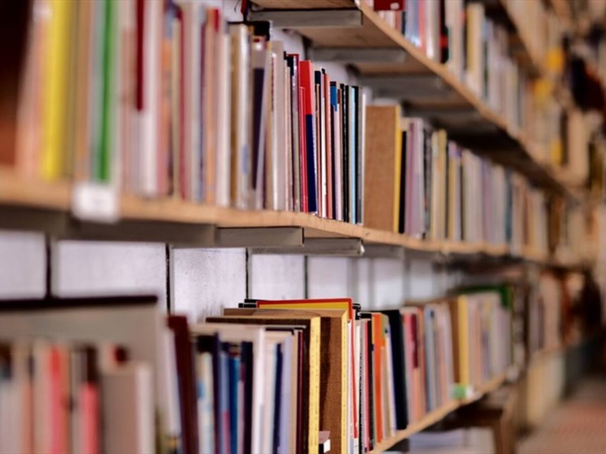 Más de 5.400 libros “piratas” fueron incautados en Ciudad Bolívar