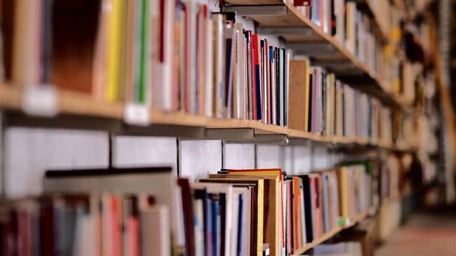 Fueron incautados 5.451 libros ‘piratas’ de diferentes editoriales. Foto: Getty Images