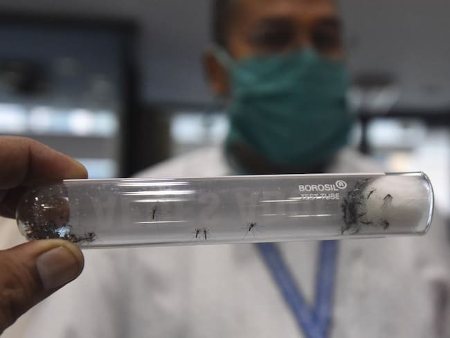Aumentó la tasa de afectados por malaria en Colombia