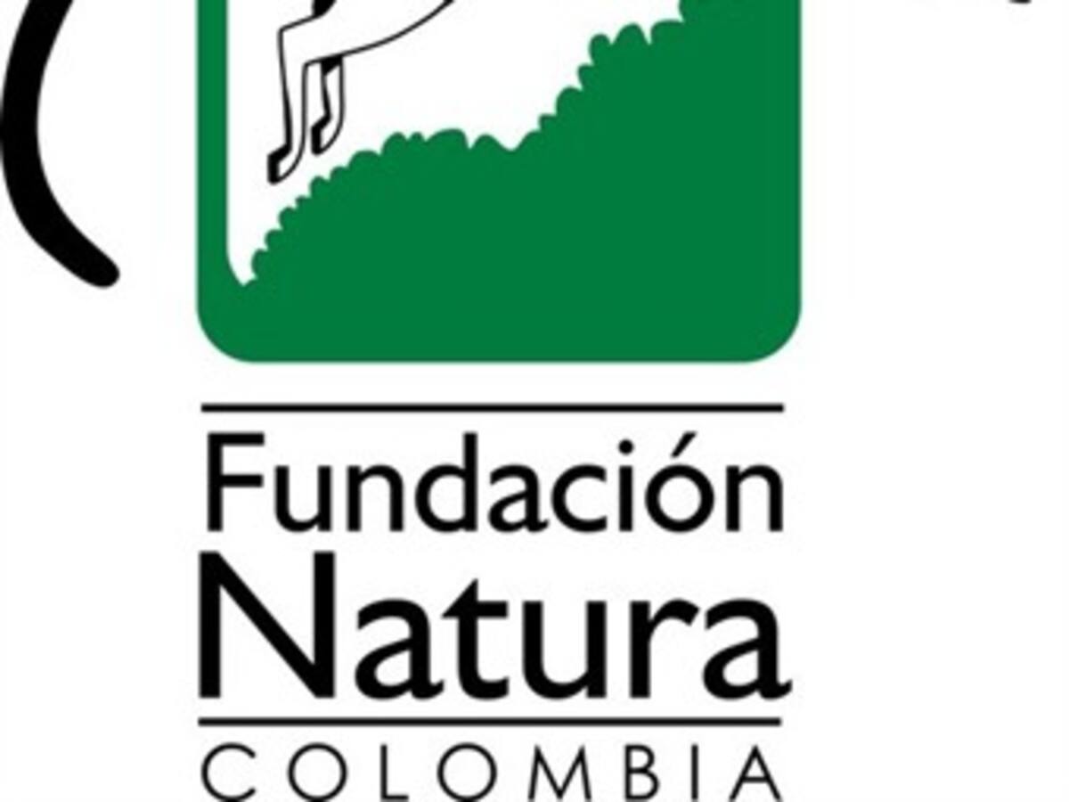 Estufas eficientes, una alternativa sostenible