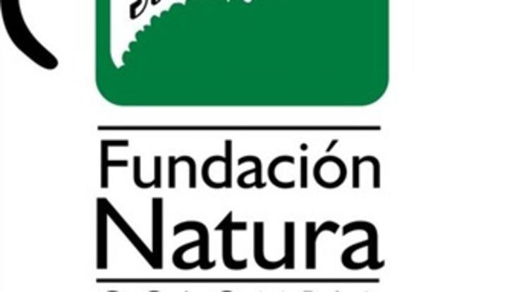 Estufas eficientes, una alternativa sostenible