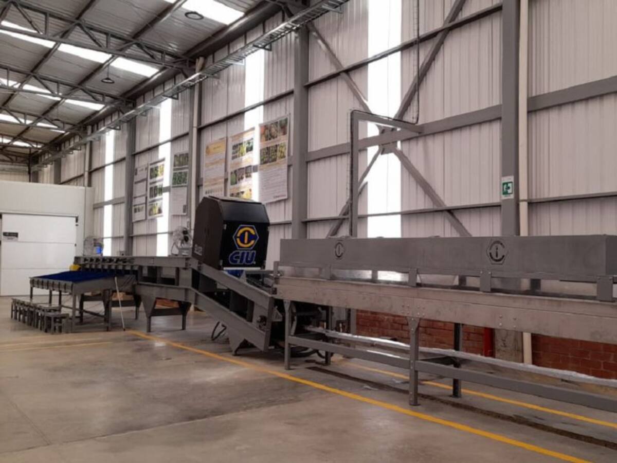 Packing Parnaso, una gran oportunidad de empleo y desarrollo para Caldas