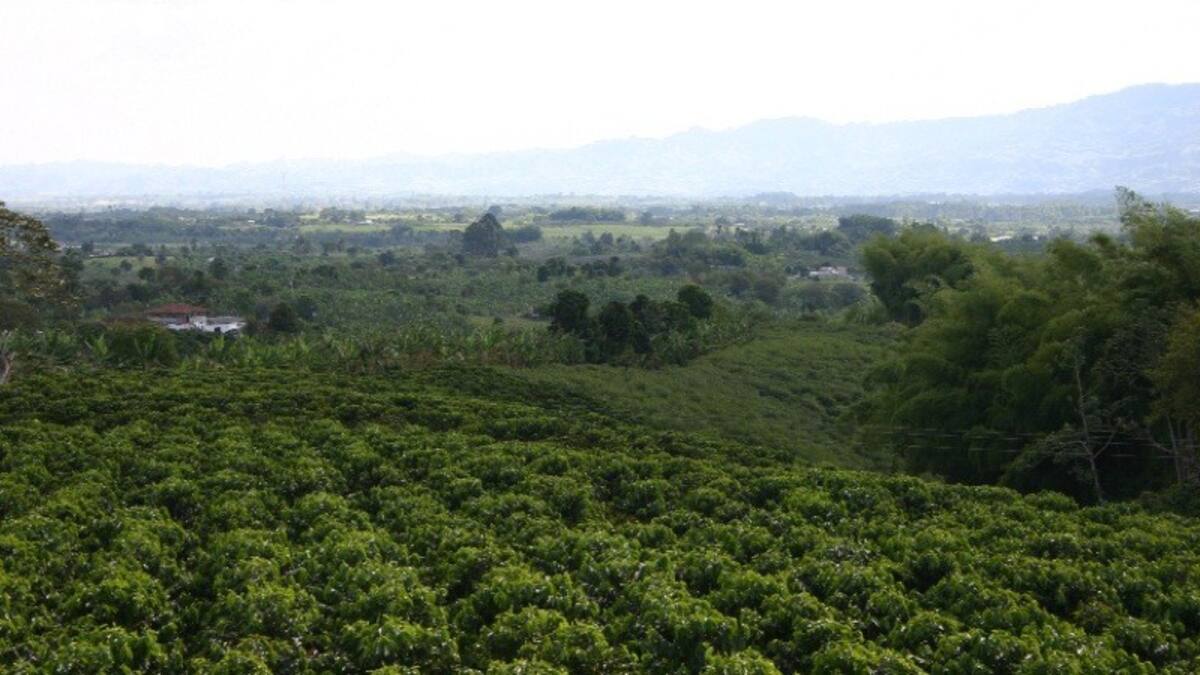 12 años de la declaratoria del Paisaje Cultural Cafetero como patrimonio de la humanidad