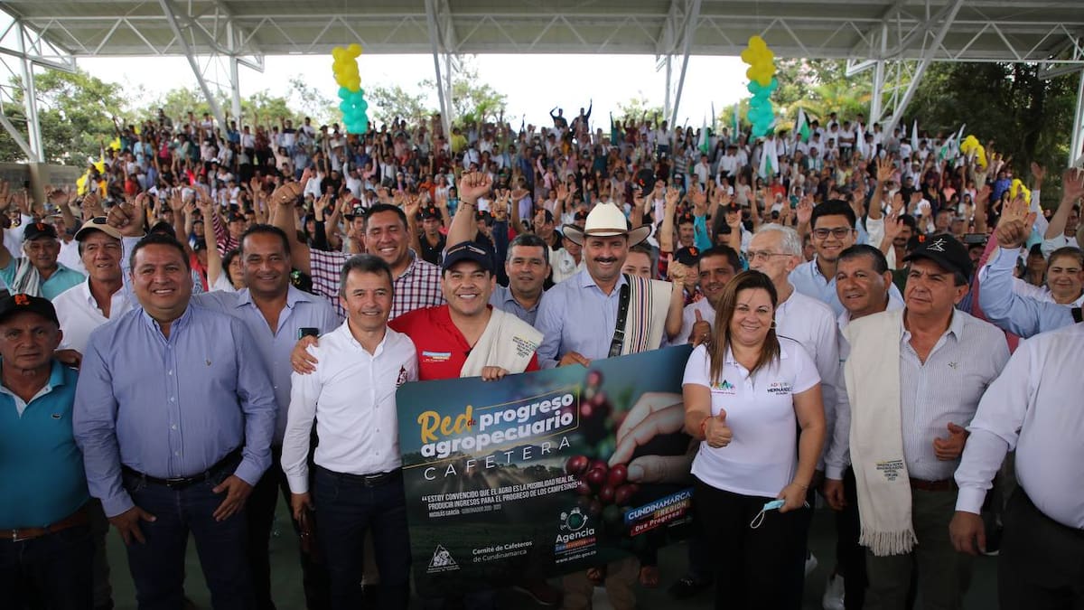 A renovar cafetales en Cundinamarca