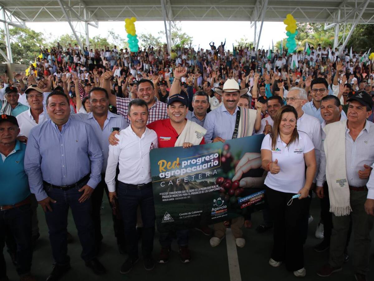 A renovar los cafetales envejecidos invitan en Cundinamarca