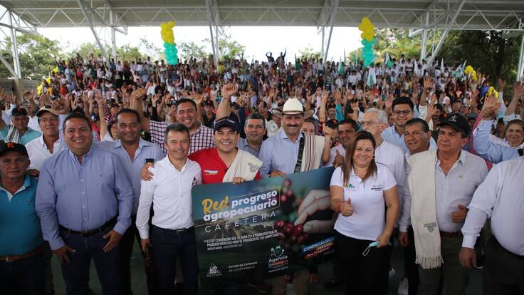 A renovar cafetales en Cundinamarca