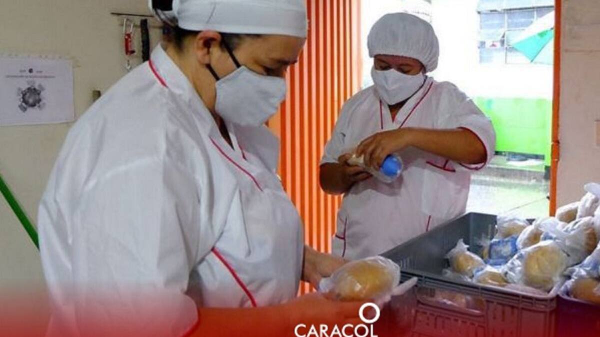 Informe PAE en Quindío