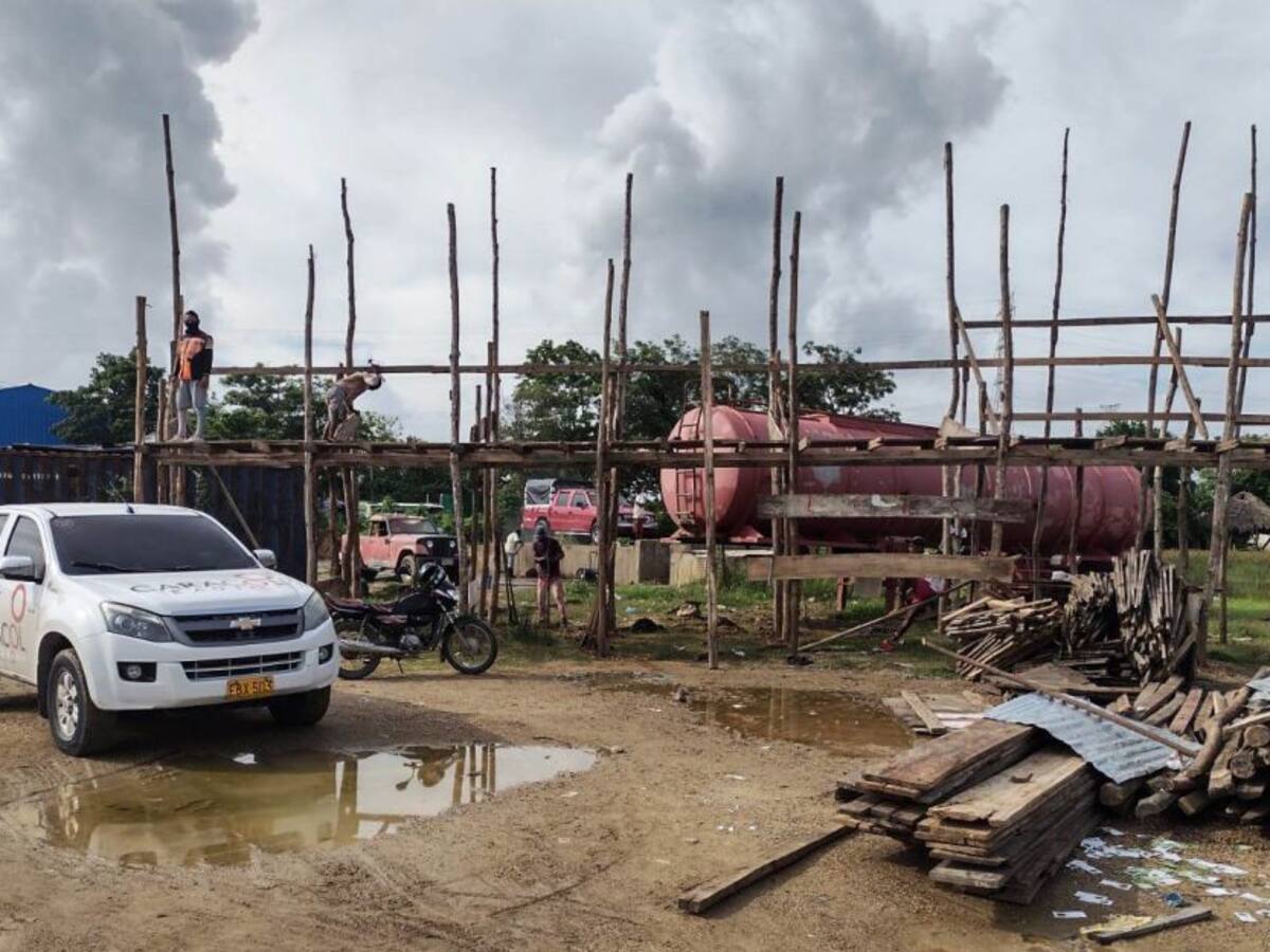 Animalista de Cartagena piden que no se autoricen las corralejas en Bayunca