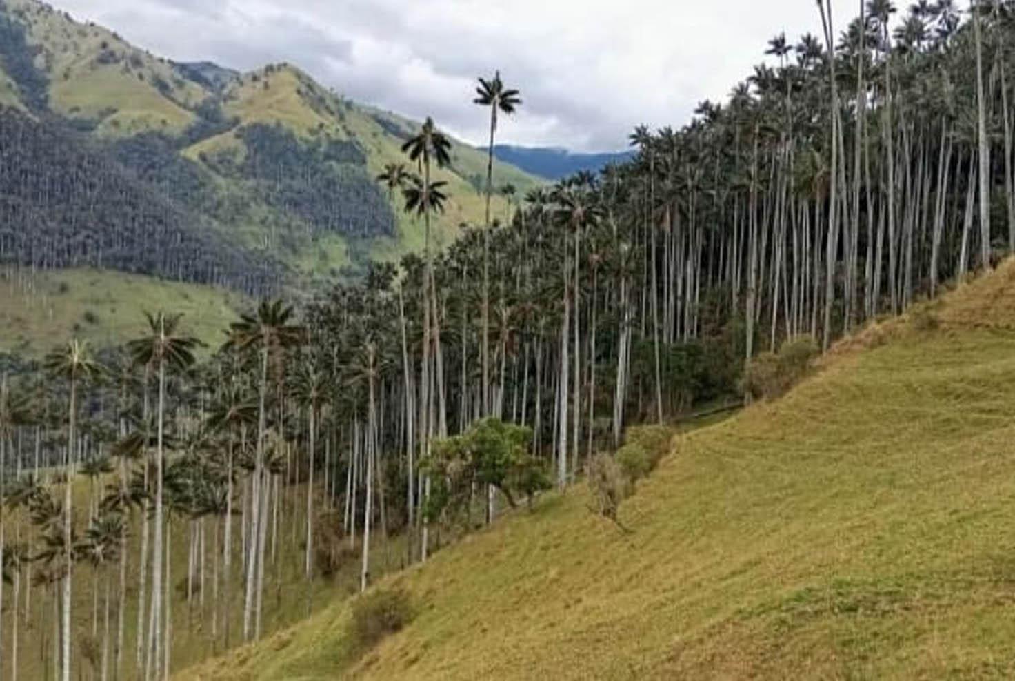 Foto Gobernación de Tolima.