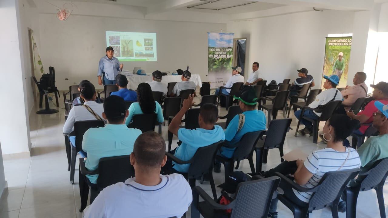 Augura y el ICA entregarán 930 rollos de alambre a 471 pequeños productores de Magdalena