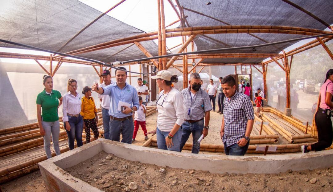 Nuevo vivero en el municipio de Ortega, Tolima