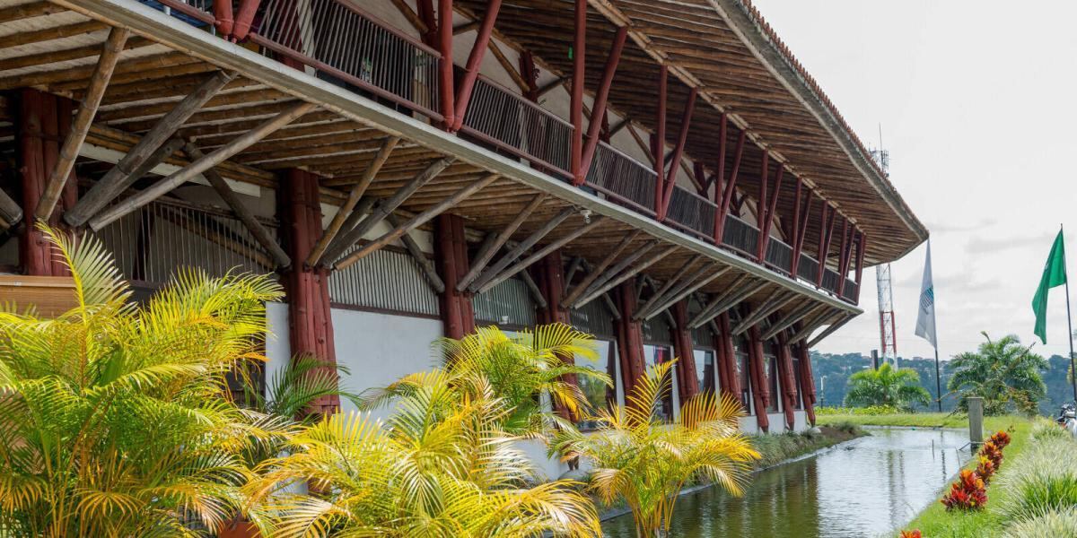 Foto: Oficial Carder