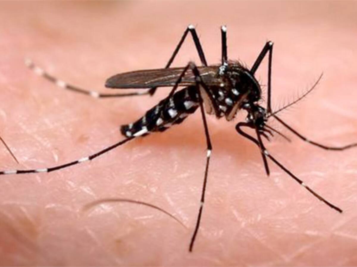 El Valle del Cauca supera los 16 mil casos de dengue