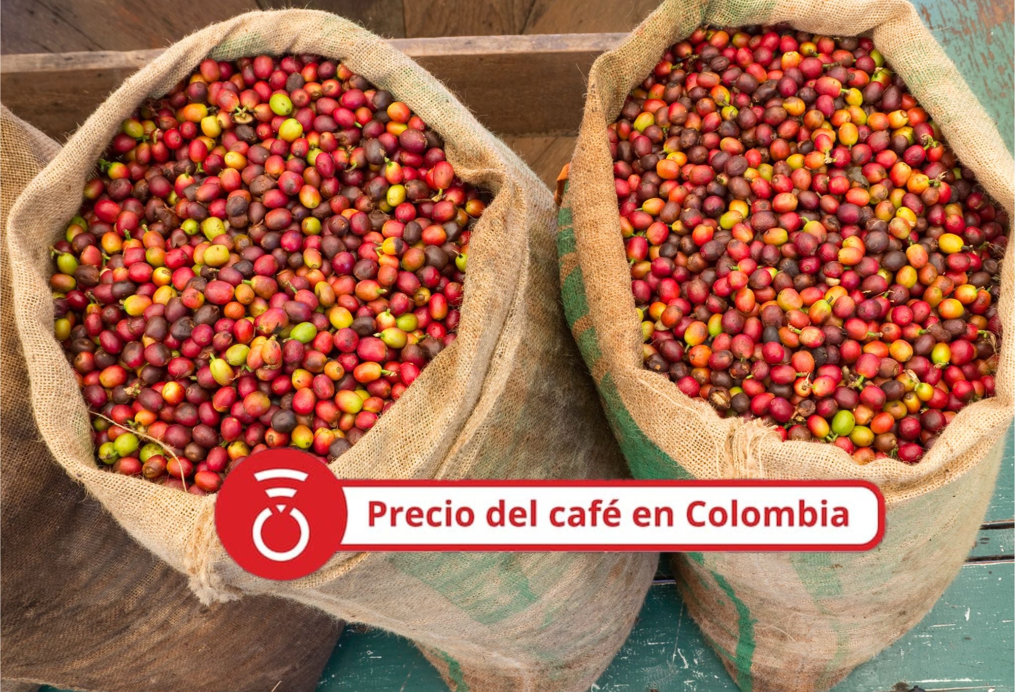 Granos de café en lonas, Foto Getty Images