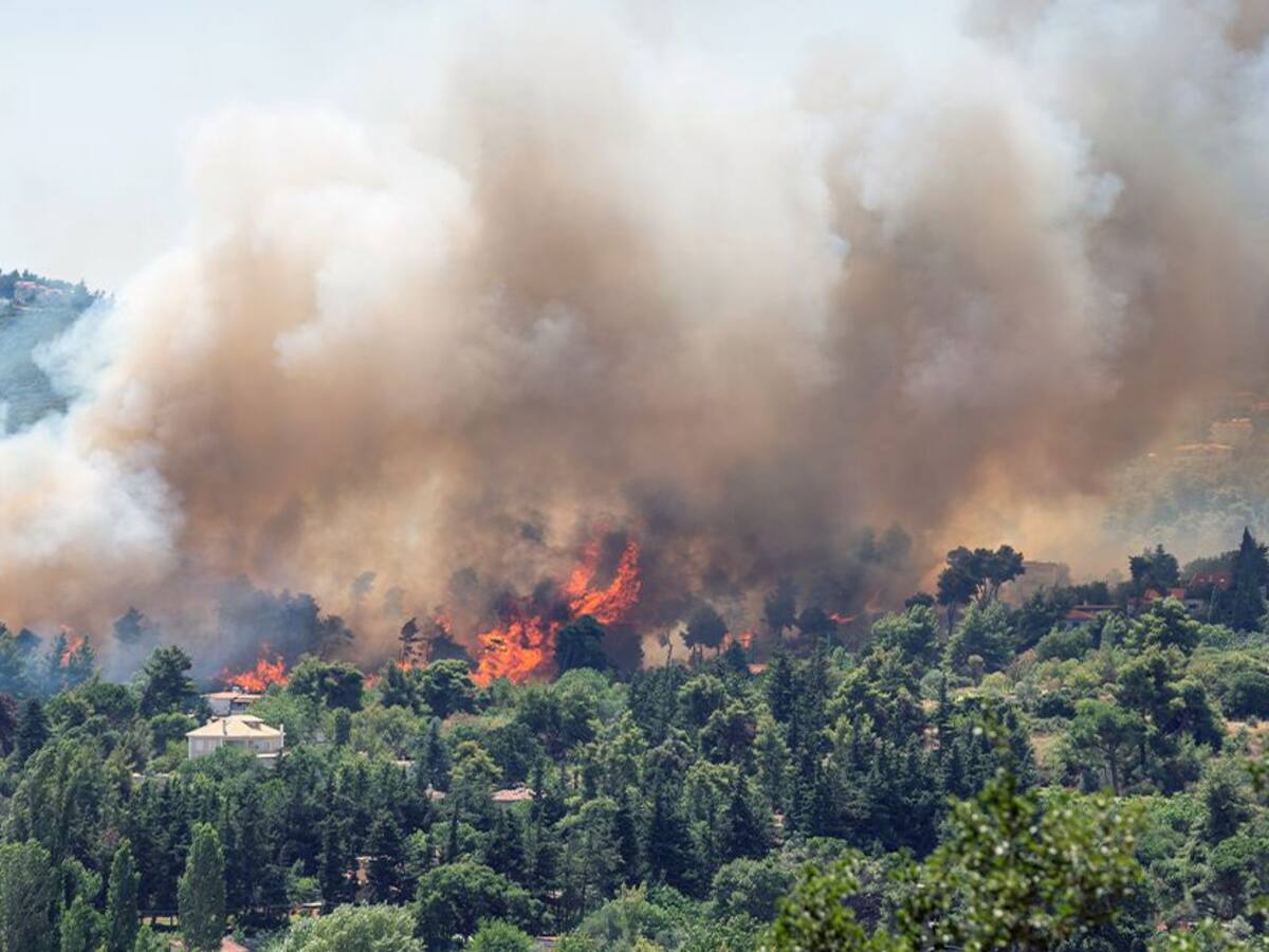 Procedimientos alternativos para la preparación del terreno sin quemas