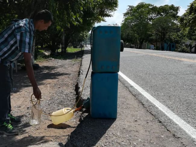 Pimpineros del Cesar reportan pérdidas por llegada de migrantes