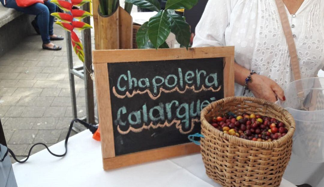 Este sábado 27 de junio es el día nacional del café y Calarcá celebra 134 años de fundación