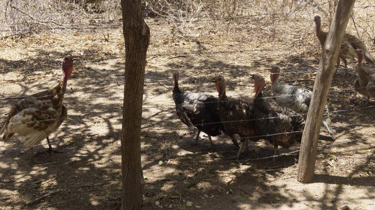 Recorrido de Caracol Radio por las zonas que aguantan sed. Fotos de Luis Enrique Rodríguez