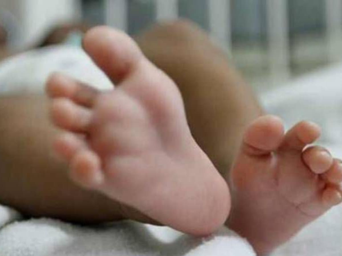 Preocupación en Boyacá por caída sostenida de nacimientos