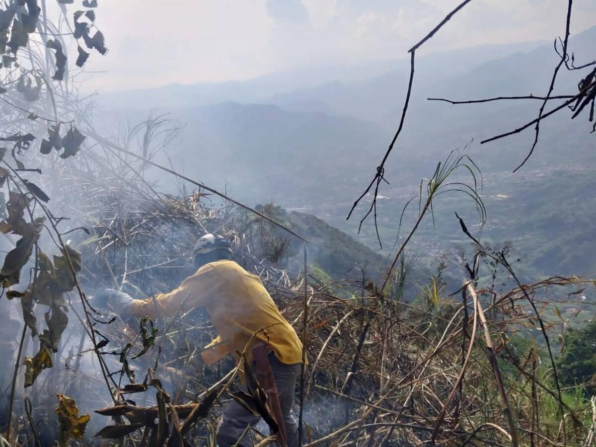Incendio forestal afectó cultivos de café y caña en zona rural de Supía, Caldas