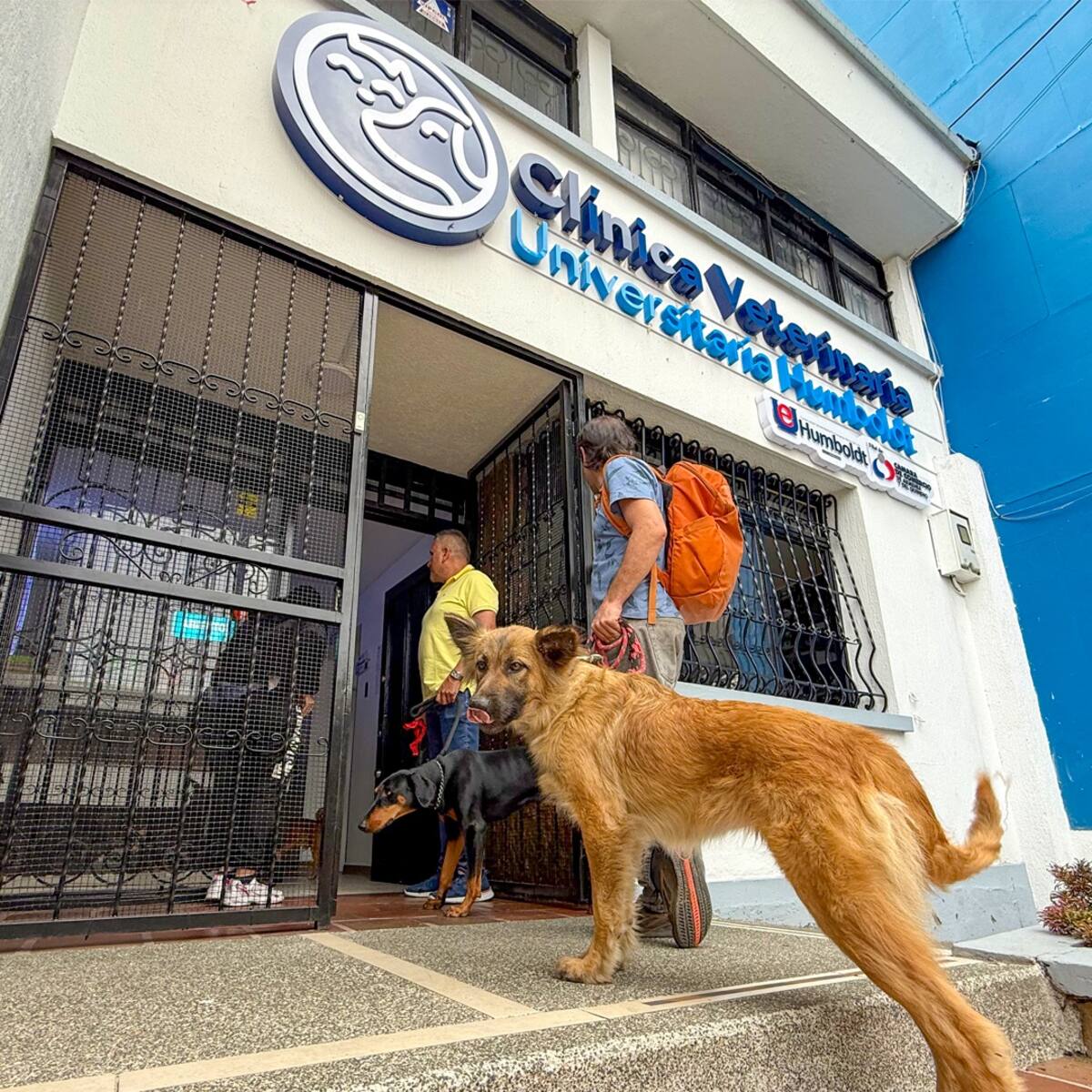 Universidad Von Humboldt y la gobernación del Quindío unidos por el bienestar animal