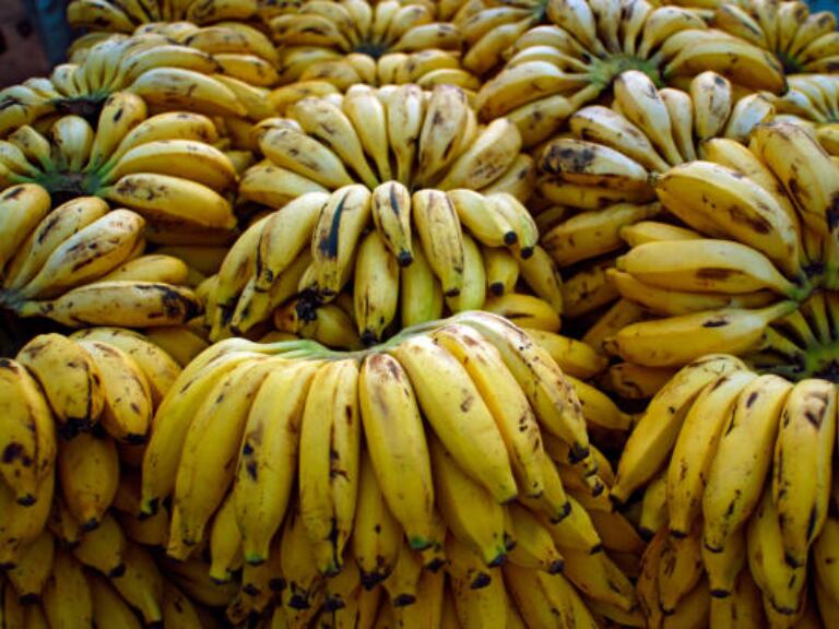 Truco casero para que los bananos no se pongan negros: se conservan más frescos y por varios días. Foto de Getty Images