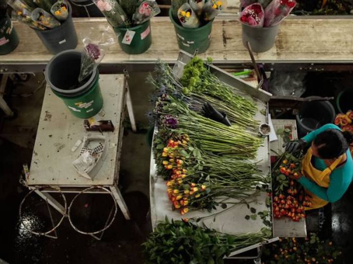 Sube levemente, a 9,1%, el desempleo en Colombia
