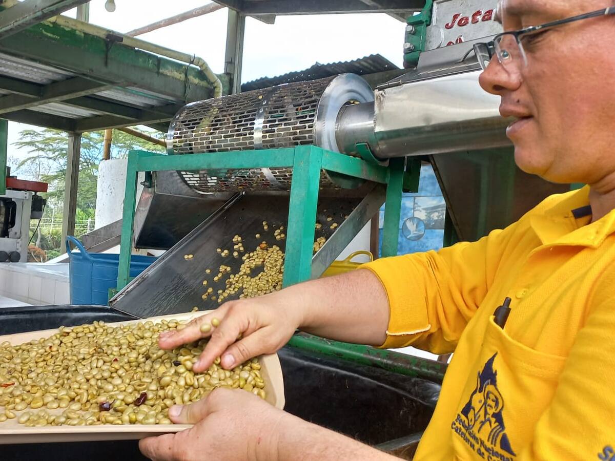 ‘De la semilla a la Taza’, recorrido para impulsar el conocimiento sobre el café