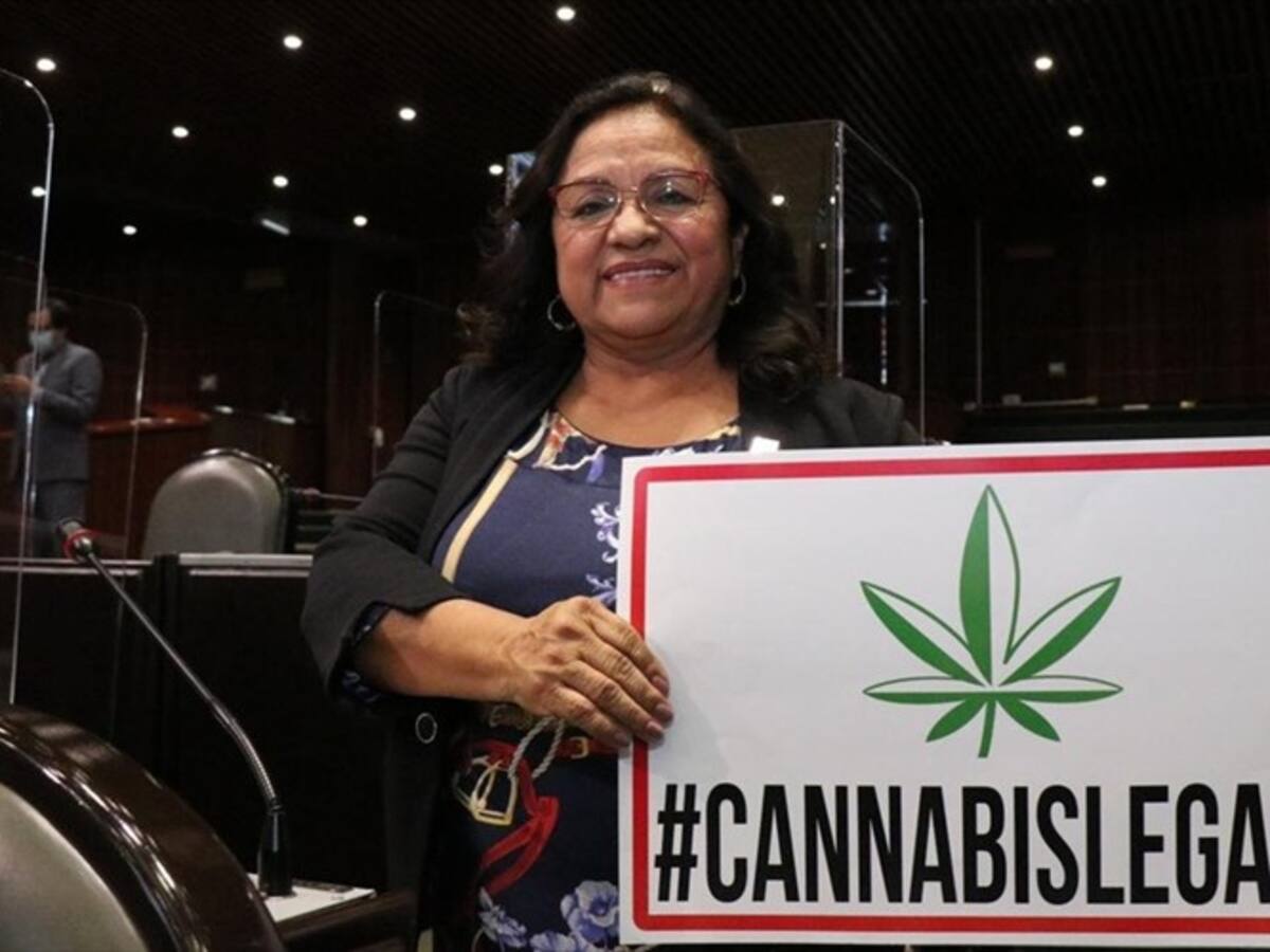 En México se podrán cultivar hasta seis plantas de marihuana en la casa
