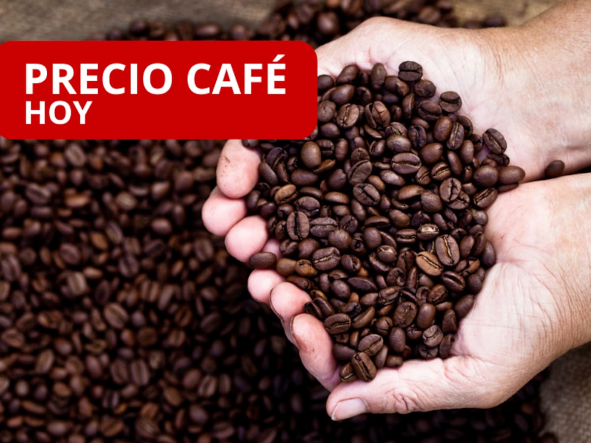 Bajó el café en Colombia: así se cotiza la carga según la Federación Nacional de Cafeteros