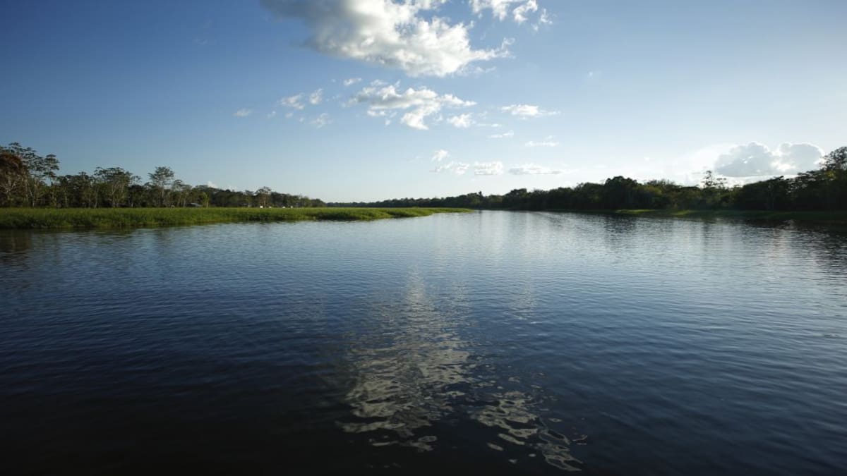 "Súmate por la Amazonía"