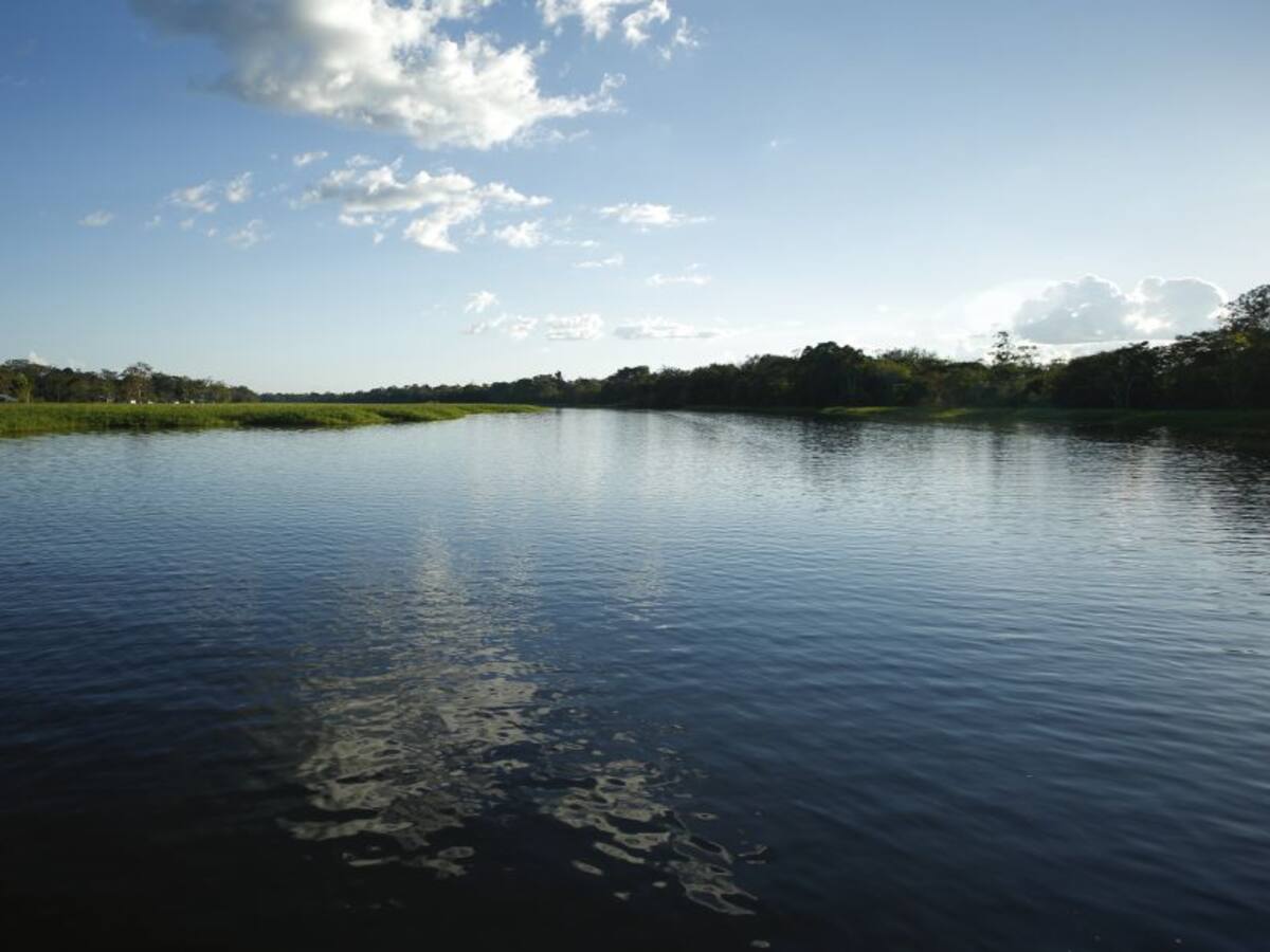 “Súmate por la Amazonía”