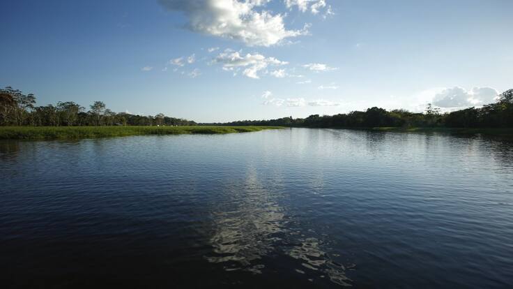 "Súmate por la Amazonía"