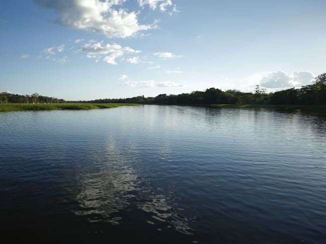 “Súmate por la Amazonía”