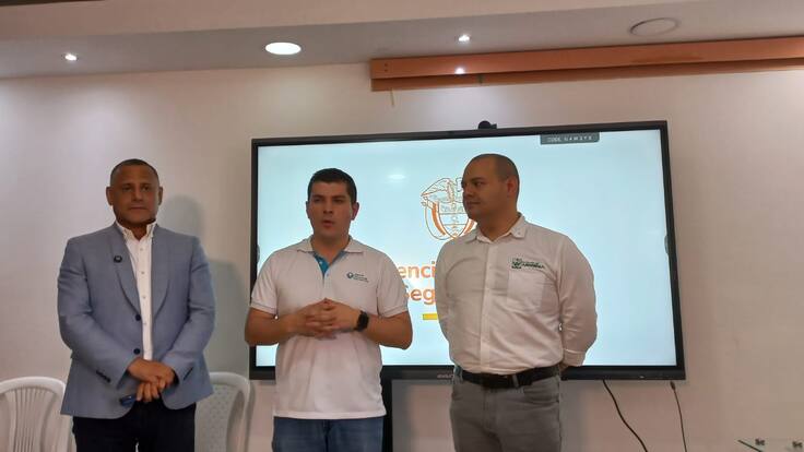 Delegado de la Agencia Nacional de Seguridad Vial