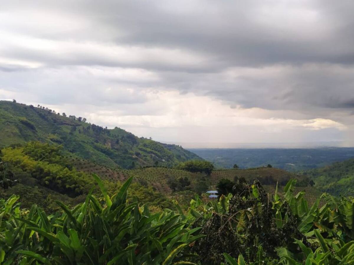 Martes 16 de marzo, las noticias más importantes de Armenia y el Quindío