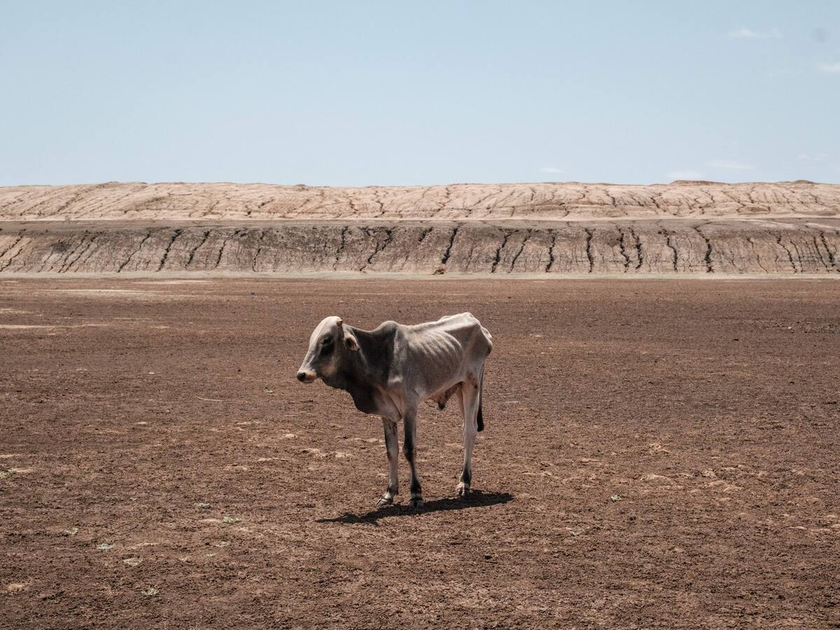 África: todo listo para la Cumbre del Clima en Nairobi