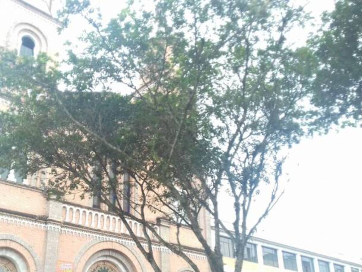 Martes 10 de octubre, las noticias más importantes de Armenia y Quindío.