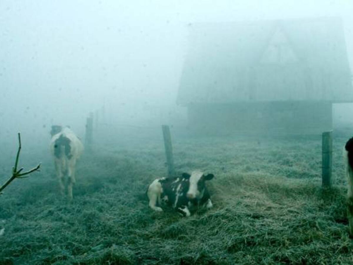 Bajas temperaturas se registran en el centro de Boyacá debido a las heladas