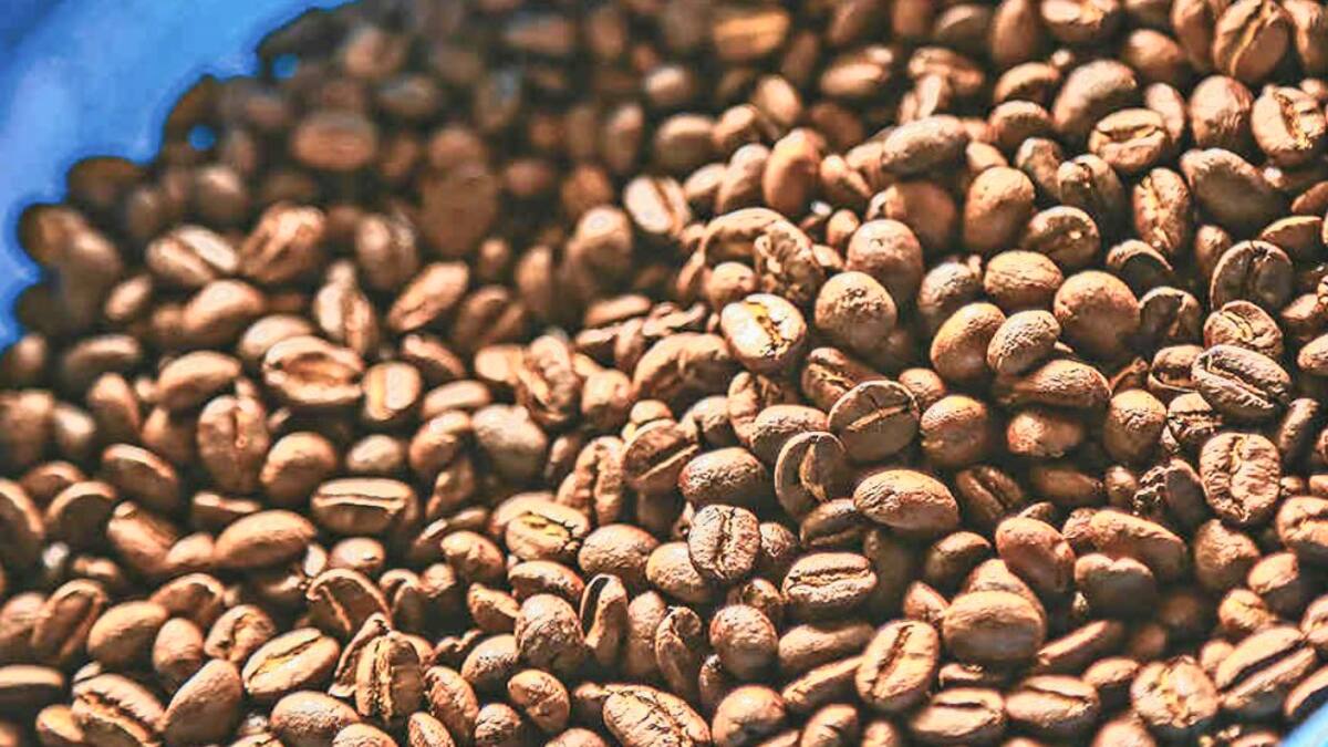 Denuncian que cafeteros de la Sierra estarían siendo extorsionados