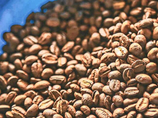 Cafeteros Sierra Nevada