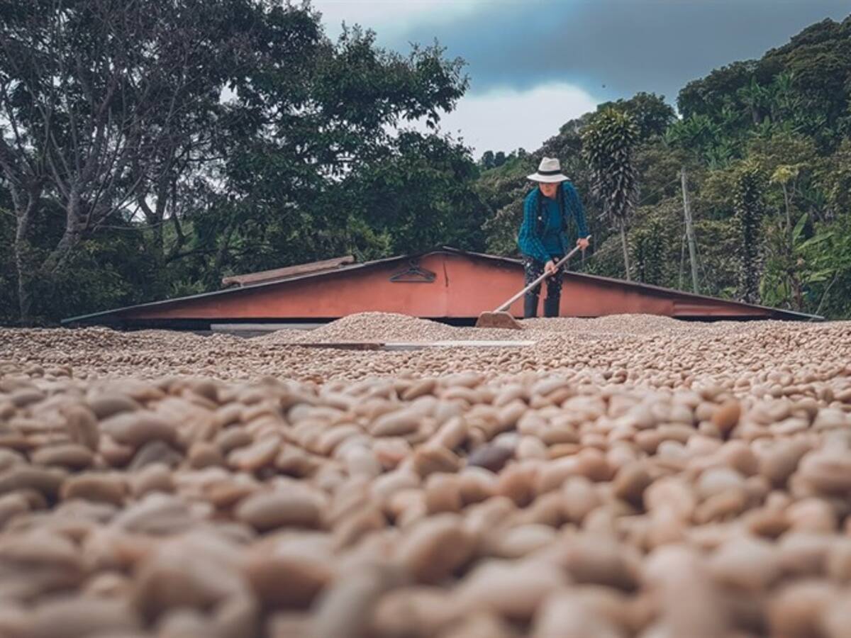El campo recibió $48 billones en créditos en 2025: así impacta la economía del agro