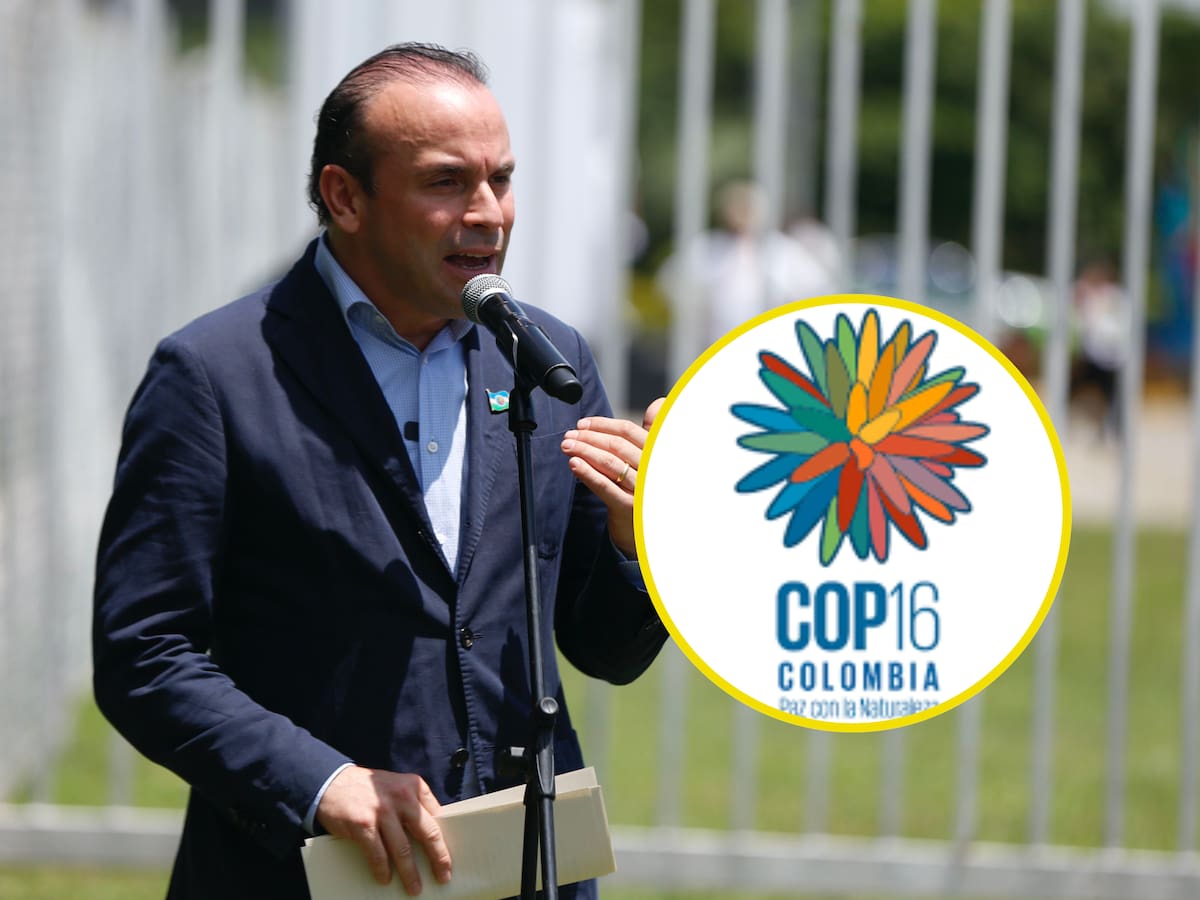 “El mundo está mirando a Cali de forma positiva”: alcalde Alejandro Eder sobre la COP16