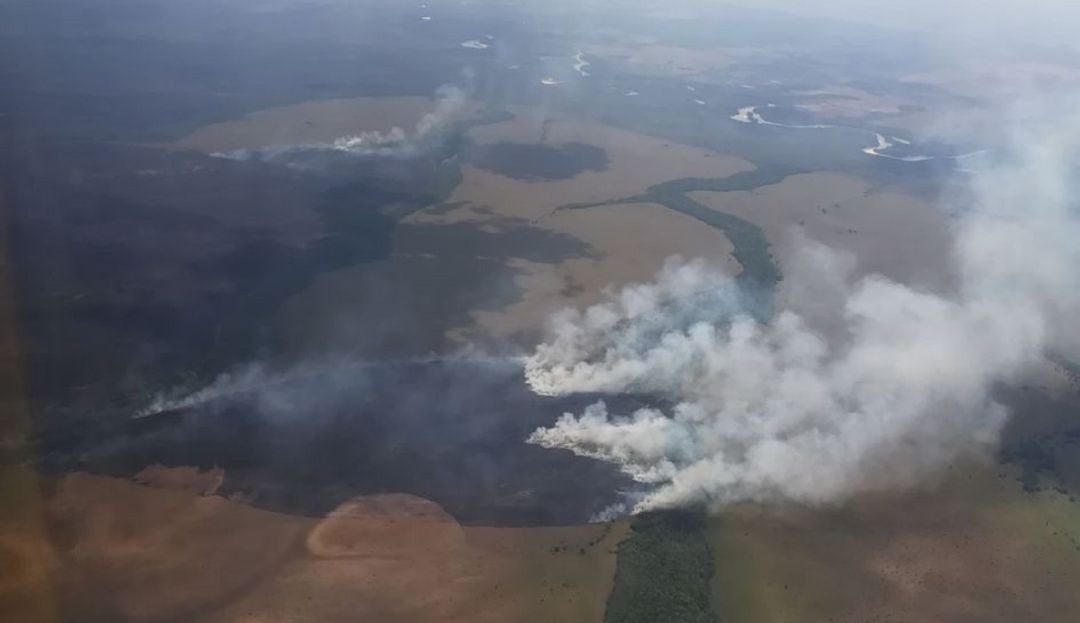 En el Parque Nacional Natural El Tuparro, en Vichada, las llamas han consumido dos mil hectáreas de vegetación.