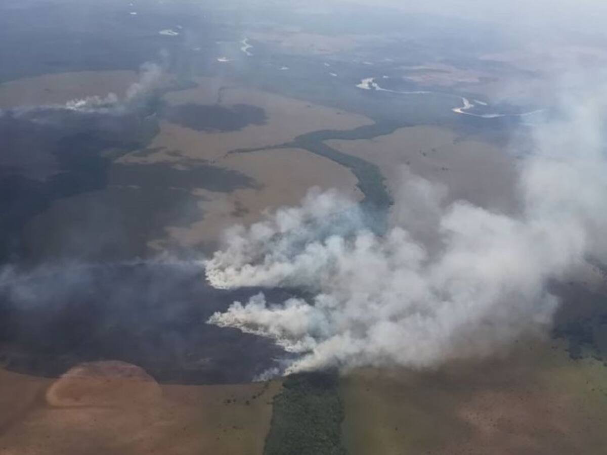 Incendios forestales arrasan con miles de hectáreas en la Orinoquía